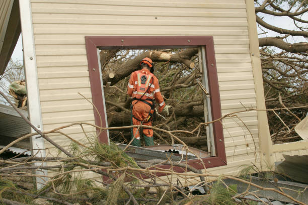 Reliable Hollywood, FL Tree Care Services Solutions